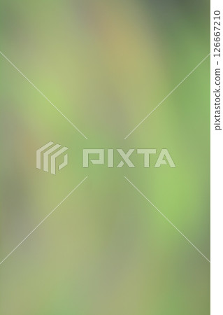 模糊的新鮮綠葉 126667210