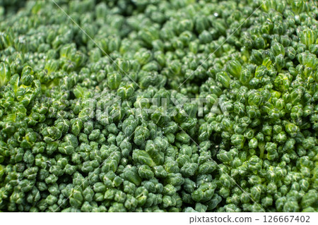 Green Broccoli Head with Detailed Texture Green Broccoli Head with Detailed Texture 126667402