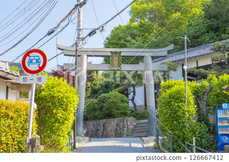 Kiyosugi approach 126667412