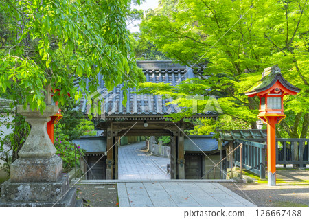 Kiyosumi temple gate 126667488