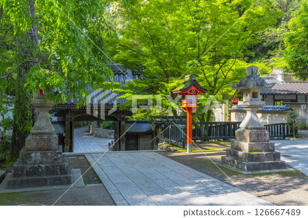 清澄寺門 126667489