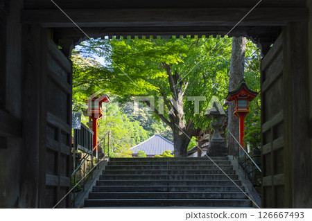 清澄寺門 126667493