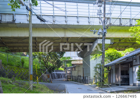 Kiyosugi approach 126667495