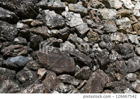 岐阜城堡的石垣 126667542