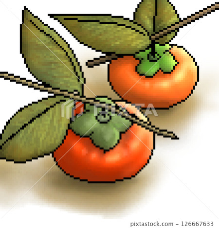 Persimmon on a branch Persimmon on a branch 126667633