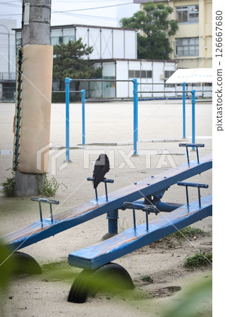 Crow Crow 126667680