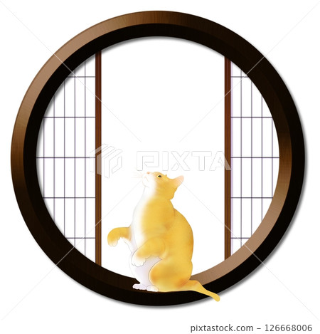 Round window and cat Round window and cat 126668006