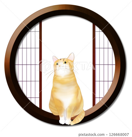 圓窗和貓 圓窗和貓 126668007