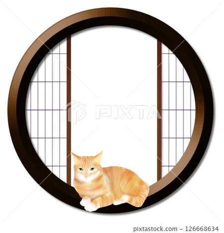 Round window and cat 126668634