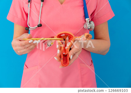 doctor gynecologist pointing model of female reproductive system 126669103