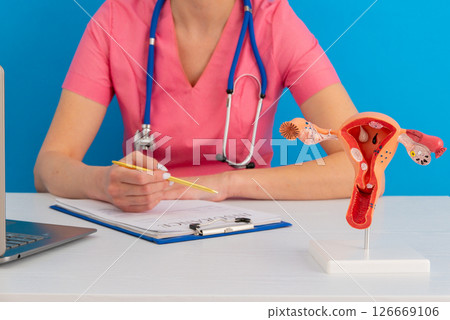 doctor gynecologist pointing model of female reproductive system on his desktop doctor gynecologist pointing model of female reproductive system on his desktop 126669106
