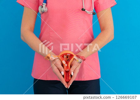 doctor gynecologist with model of female reproductive system 126669107