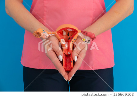 doctor gynecologist with model of female reproductive system doctor gynecologist with model of female reproductive system 126669108