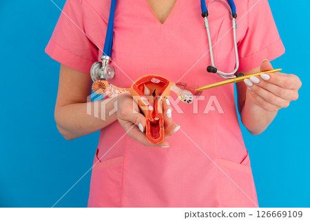 doctor gynecologist pointing model of female reproductive system doctor gynecologist pointing model of female reproductive system 126669109