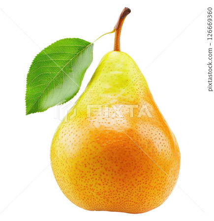 Pear with leaf 126669360