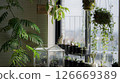 Thoughts on a Bay Window with Potted Plants 126669389