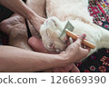 Cat getting brushed 01 126669390