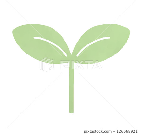 嫩葉的水彩插圖 嫩葉的水彩插圖 126669921