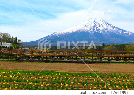 山中湖花城公園景觀 山中湖花城公園景觀 126669933