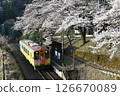 Tarumi Railway Cherry blossoms and train at Hinata Station 126670089