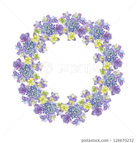 Hydrangea wreath. Watercolor of summer flowers isolated on a white background. Good for postcards, invitations, greeting cards Hydrangea wreath. Watercolor of summer flowers isolated on a white background. Good for postcards, invitations, greeting cards 126670232