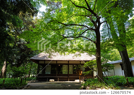 Looking at the Umeya Shoya in Roka Koshunen Garden under the blue spring sky, Kasuya 1-chome, Setagaya-ku, Tokyo Looking at the Umeya Shoya in Roka Koshunen Garden under the blue spring sky, Kasuya 1-chome, Setagaya-ku, Tokyo 126670574
