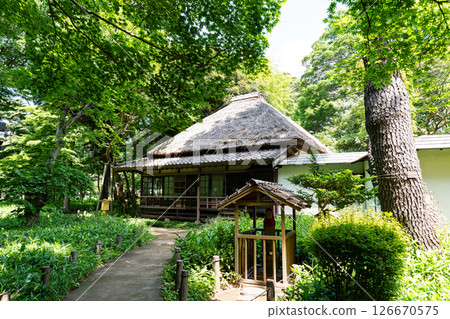 Shusui Shoin at Roka Koshun-en Garden, blue spring sky, Kasuya 1-chome, Setagaya-ku, Tokyo 126670575