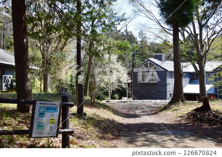 橫濱市兒童自然公園青少年戶外活動中心和新鮮的綠地 橫濱市兒童自然公園青少年戶外活動中心和新鮮的綠地 126670824