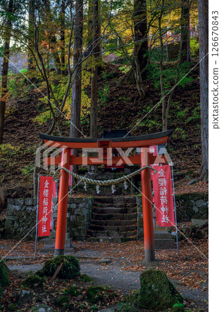 Autumn scenery of the tranquil Kinzakura Inari Shrine with its vermilion torii gates, Yamanashi Prefecture 126670843