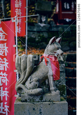 山梨縣金櫻稻荷神社的狐狸雕像籠罩在神聖的氣氛中。 126670846