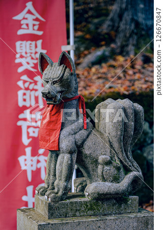 山梨縣金櫻稻荷神社的狐狸雕像籠罩在神聖的氣氛中。 山梨縣金櫻稻荷神社的狐狸雕像籠罩在神聖的氣氛中。 126670847