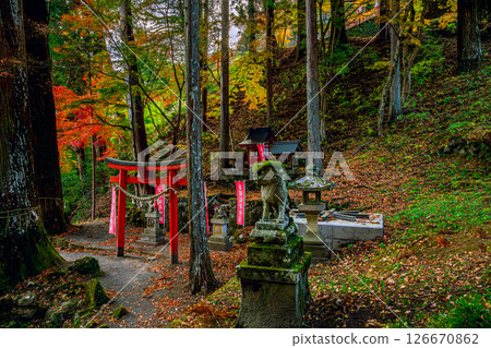 Autumn scenery of the lion statues and shrine in the grounds of Kanazakura Shrine, standing in a quiet forest. Inari-sama 126670862