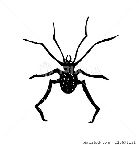 Spider black graphic vector illustration. Arachnid, arthropod insect Isolated with white plate. For packaging on Halloween, textile, print product. Hand drawn ink clip art predator. Gothic style 126671151