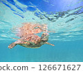 Sea turtles swimming in the blue ocean and the blue sky peeking through the surface of the sea 126671627