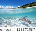 Sea turtles swimming in the blue sea and beach 126671637