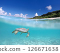 Sea turtles swimming in the blue sea and beach 126671638