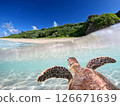 Sea turtles swimming in the blue sea and beach 126671639