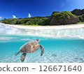 Sea turtles swimming in the blue sea and beach 126671640