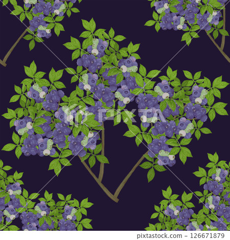Blueberry tree seamless pattern 126671879