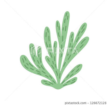 Cartoon underwater algae seaweed or sea coral reef kelp and, vector. Tropical undersea laminaria and underwater seaweed of sea and ocean seabed, green aquatic plant or ocean algae leaves 126672128