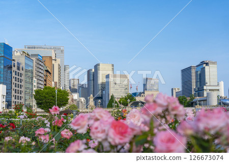 中之島公園玫瑰園盛開 126673074