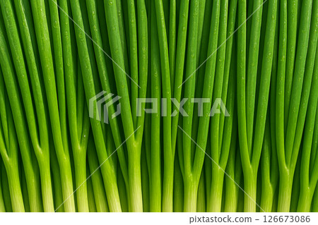 AI generated top view of fresh green onions with water droplets under daylight highlighting cleanliness crispness and freshness perfect for culinary and healthy lifestyle themes 126673086