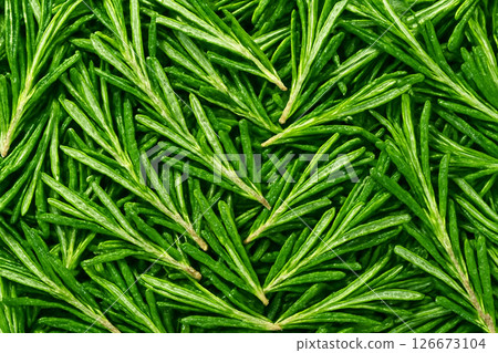 AI generated top view of fresh rosemary with water droplets reflecting daylight Fresh vibrant clean look ideal for food natural lifestyle or wellness themes AI generated top view of fresh rosemary with water droplets reflecting daylight Fresh vibrant clean look ideal for food natural lifestyle or wellness themes 126673104