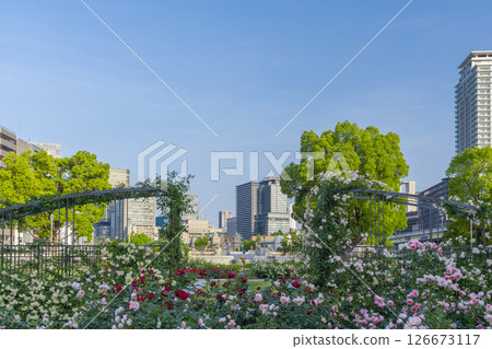 Nakanoshima Park Rose Garden in full bloom Nakanoshima Park Rose Garden in full bloom 126673117