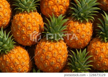 AI generated top view of ripe pineapples with fresh skin and water droplets reflecting daylight for a clean bright vibrant and delicious tropical feeling 126673129