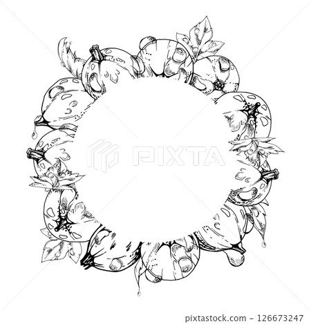 Currant gooseberry closeup with leaves in water dew drops, ripe garden berry juneberry casseille jostaberry hand drawn in vector ink. Isolated wreath frame. Organic food drink, fresh eco grocery store Currant gooseberry closeup with leaves in water dew drops, ripe garden berry juneberry casseille jostaberry hand drawn in vector ink. Isolated wreath frame. Organic food drink, fresh eco grocery store 126673247