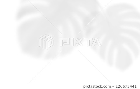 The transparent shadow overlay effect monstera leaves isolated on transparent background. Realistic shadow of palm branch. Mockup with tropic palm leaves shadow. Vector illustration 126673441