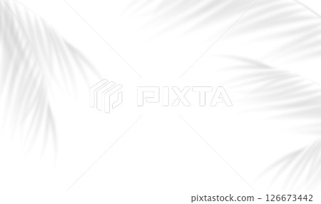 The transparent shadow overlay effect bamboo leaves isolated on transparent background. Mockup of tropic leaves shadow and natural lightning. Realistic shadow of palm branch. Vector illustration The transparent shadow overlay effect bamboo leaves isolated on transparent background. Mockup of tropic leaves shadow and natural lightning. Realistic shadow of palm branch. Vector illustration 126673442