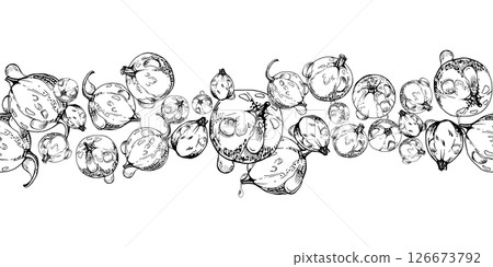 Currant gooseberry in water dew drops hand drawn in vector ink, scattered ripe garden berry group. Seamless isolated banner garland. Home preserves, textile stationery, food store decor, recipe book 126673792