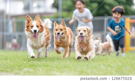 狗狗和孩子一起飛奔的節日 126675028
